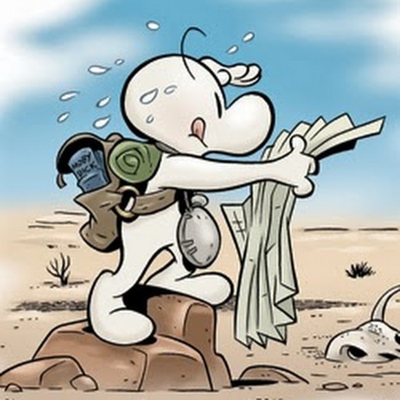 Meet your Posher, Susan - Picture 1 of 1